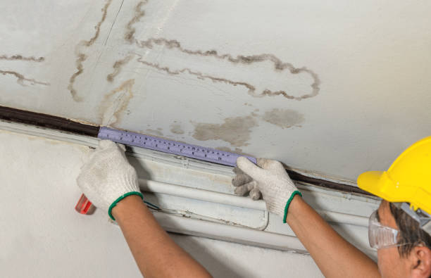 Reliable Water Damage Repair contractor in Louisville, KY by Hirex Water Damage